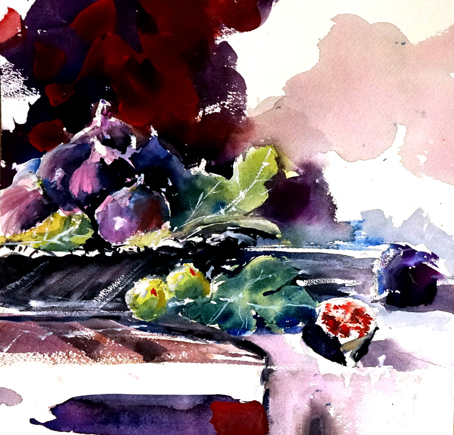 figs feigen art stilleben aquarell watercolour